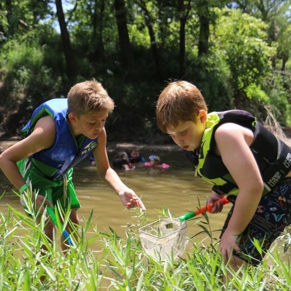 Play at Camp Green Berry