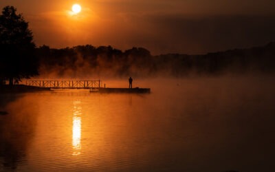 A Walk in the Park Newsletter