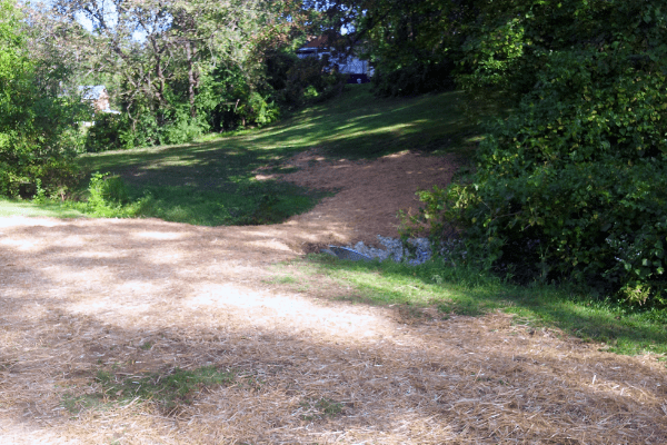 Green Space at Lavinia Park