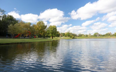 Top 10 Ways to Make Your JC Parks Moment